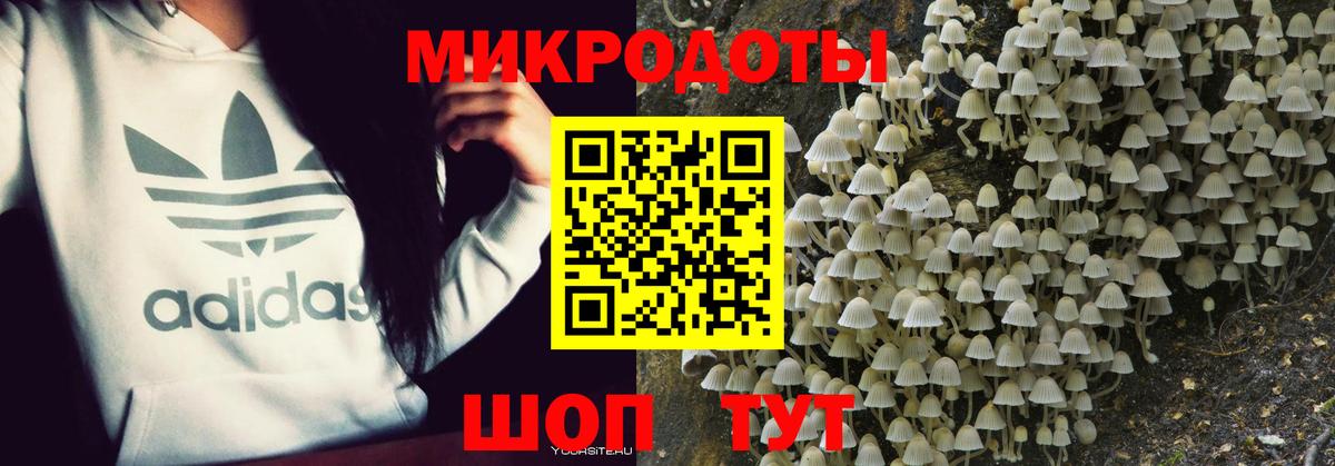 Псилоцибиновые грибы MAGIC MUSHROOMS Владикавказ